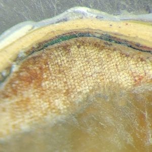 The Role of Paint Microscopy in Historic Paint Analysis