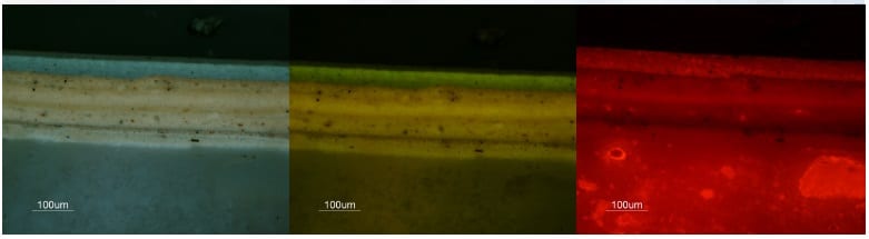 Fluorescent Microscopy paint analysis technique